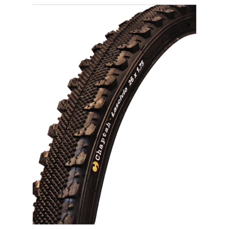 Tyre Chapta Lascivio